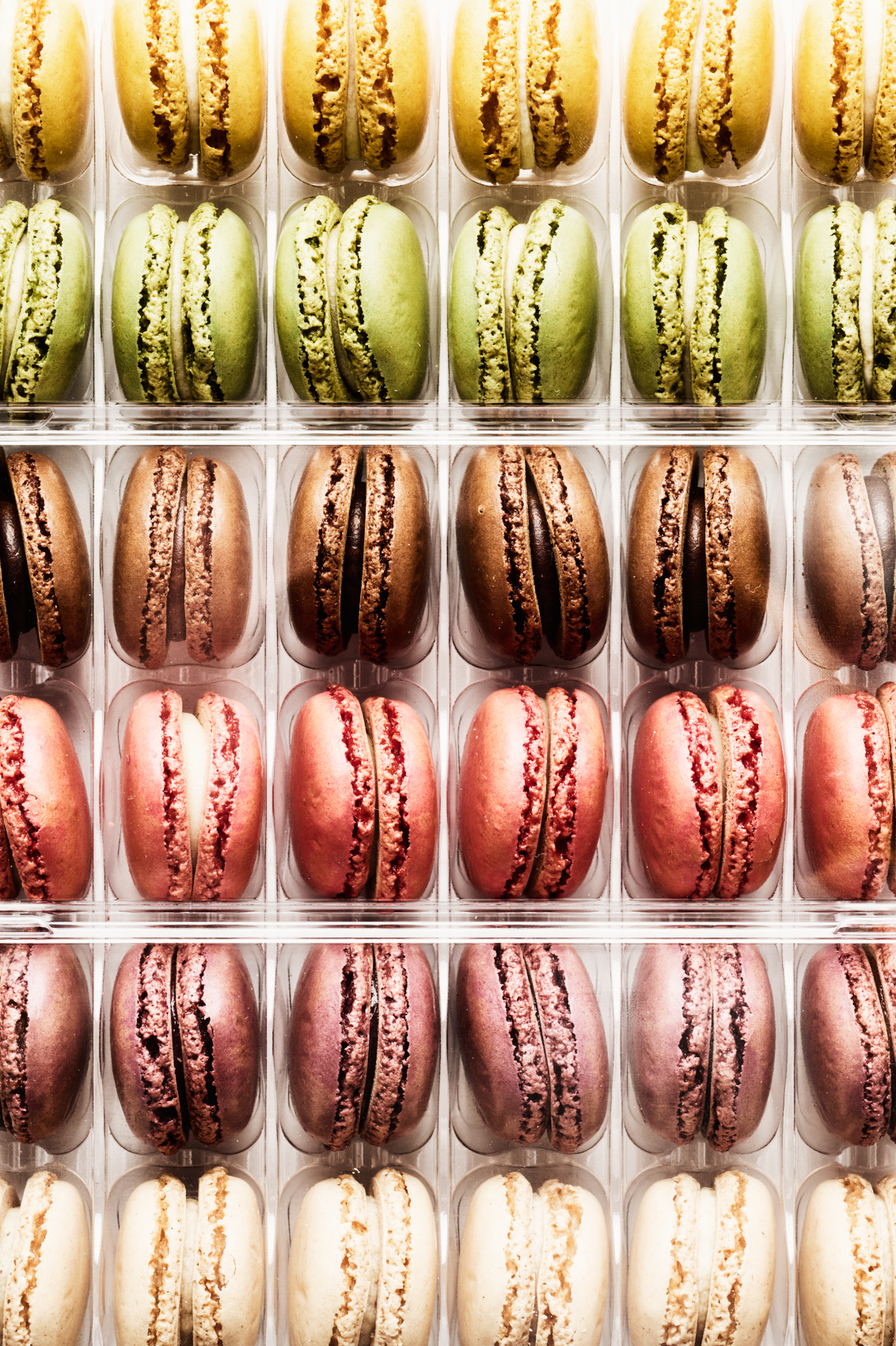 Rows of colorful macarons in clear packaging, product photography by Winky Lewis